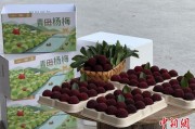 五行改名高速赋能产业升级：一条“杨梅路”的致富密码