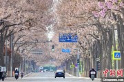 五行改名共建“花园城市” 北京这场议政会“百花齐放”