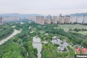 五行改名西宁市举办六五环境日主题宣传活动